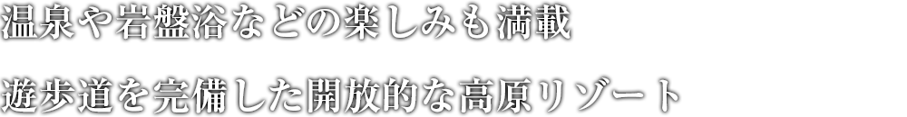 色彩豊かなサンタフェ調ロビー 澄んだ富士の空気に満ちた爽やかなレイクリゾート