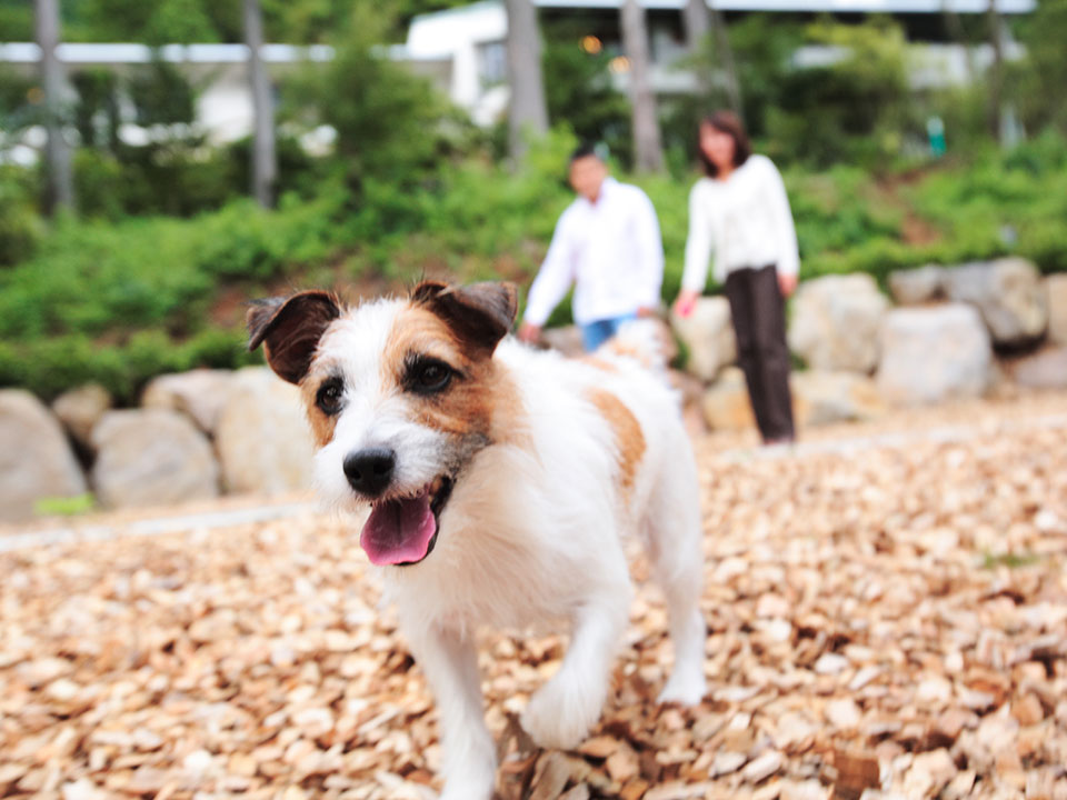 箱根宮城野